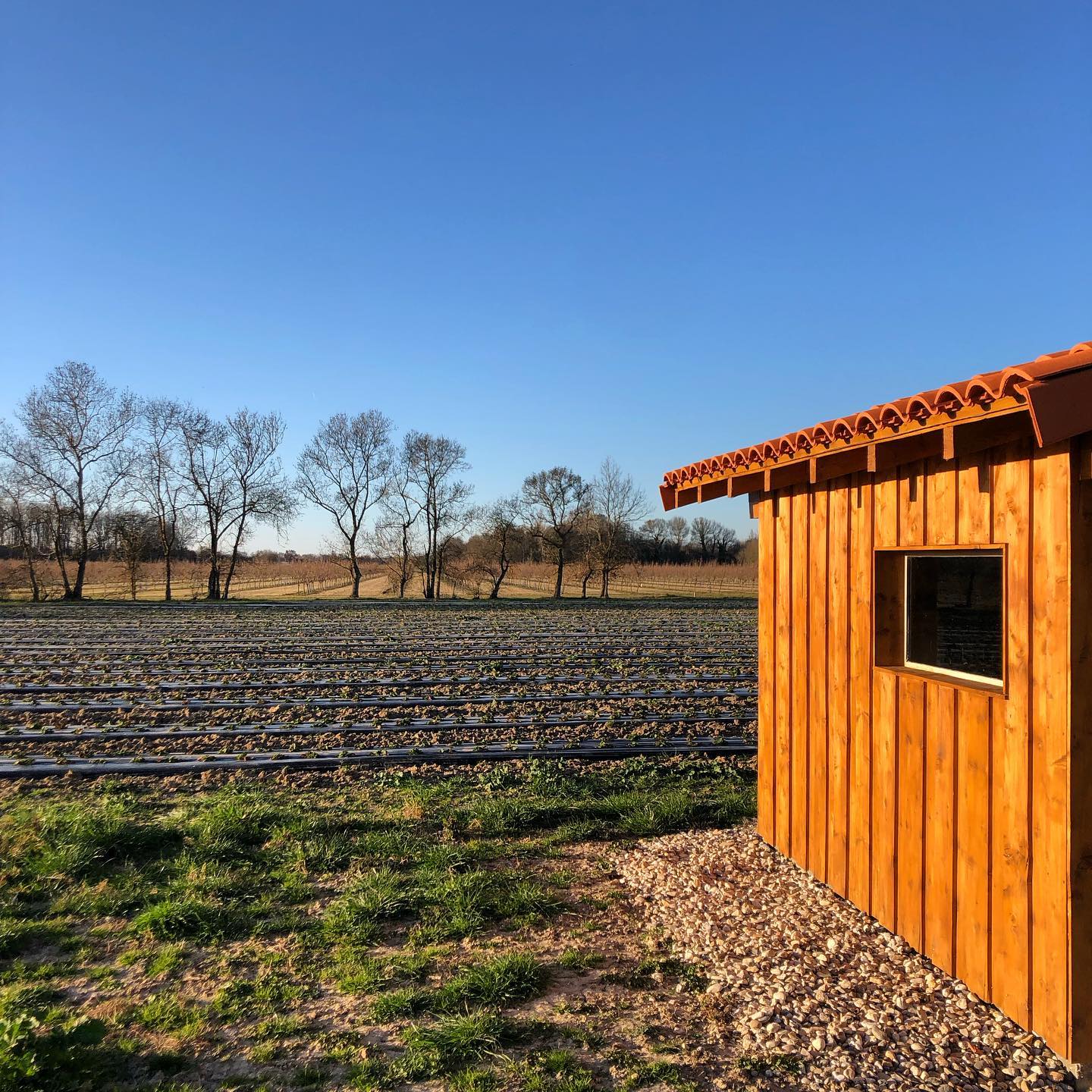 Cabanon en bois au bord des cultures maraîchères à la Ferme Pellausy à villemur-sur-tarn sous ciel bleu