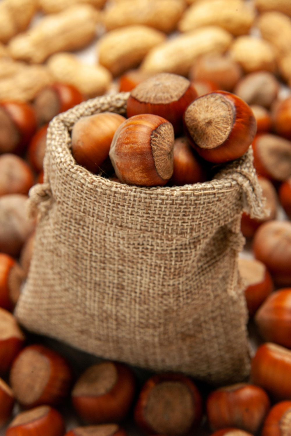 Sac de noisettes rustique Ferme Pellausy sur lit de fruits secs à villemur-sur-tarn