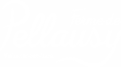 Logo élégant Ferme Pellausy, script manuscrit raffiné souligné, mention villemur-sur-tarn